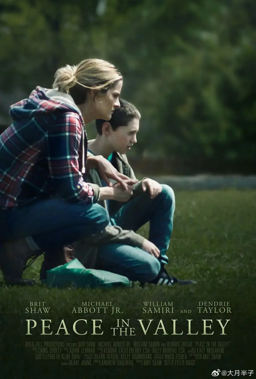 《山谷里的和平》：治愈心灵的音乐之旅，寻找内心的平静与希望